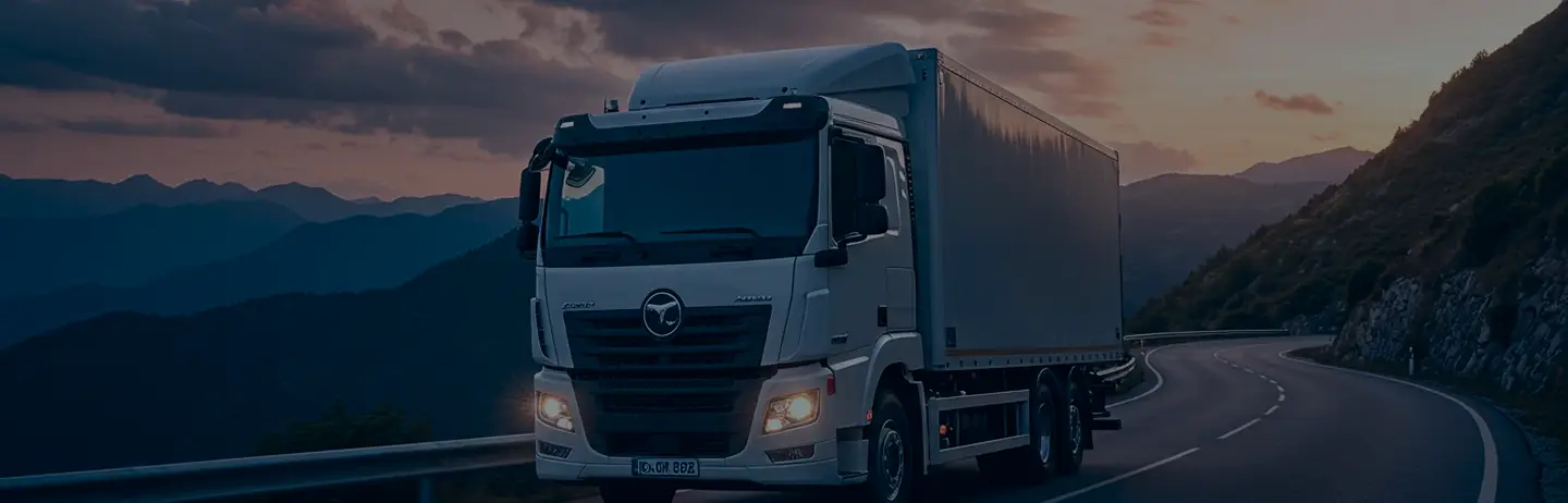 Transporte de Carga